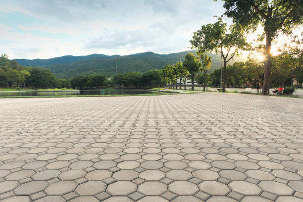 Best Driveway Paver Repair  in Creve Coeur, IL