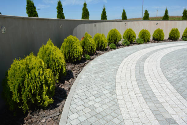 Best Brick Driveway Pavers  in Creve Coeur, IL